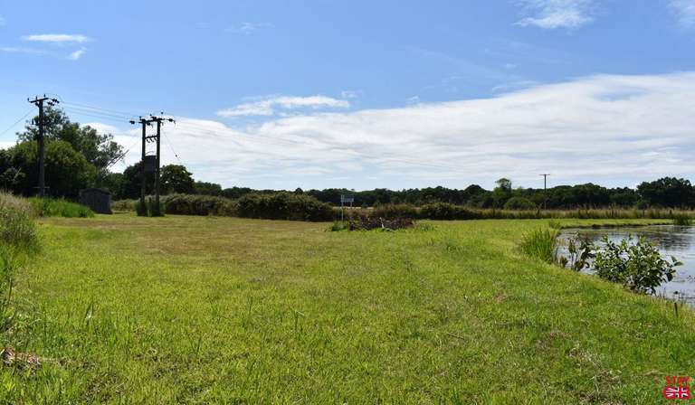 Grassed area near bridge
