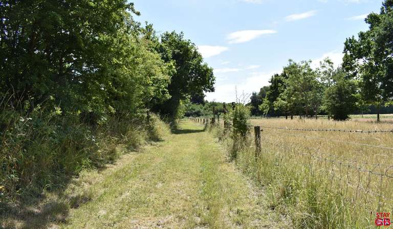 Path to garage shop